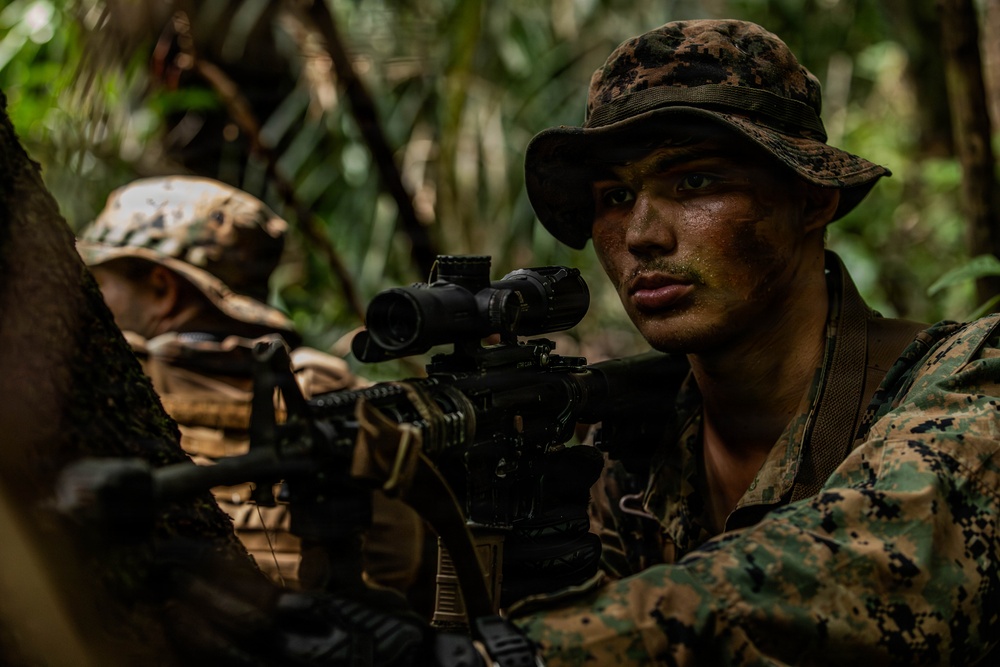 Combined Jungle Operations Training Course 26-2: Assault Mission