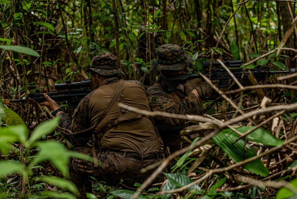 Combined Jungle Operations Training Course 26-2: Assault Mission