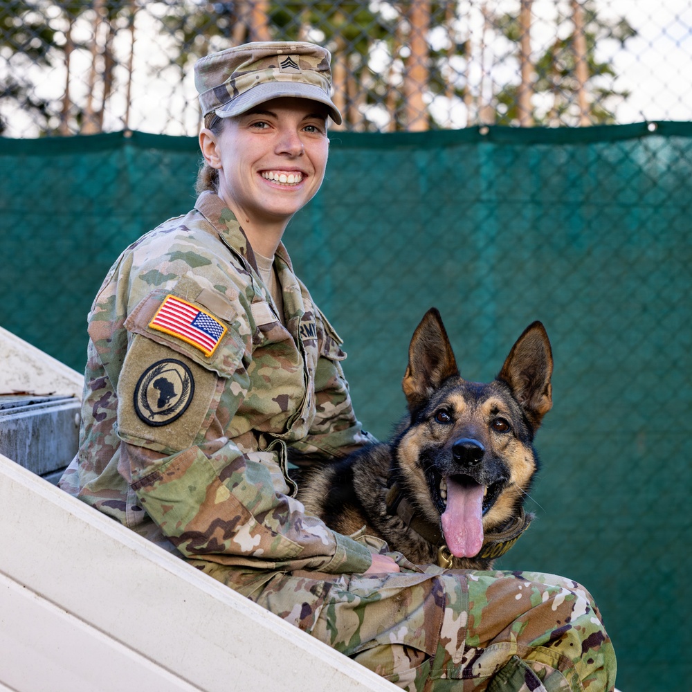 Good Dogs in Bavaria