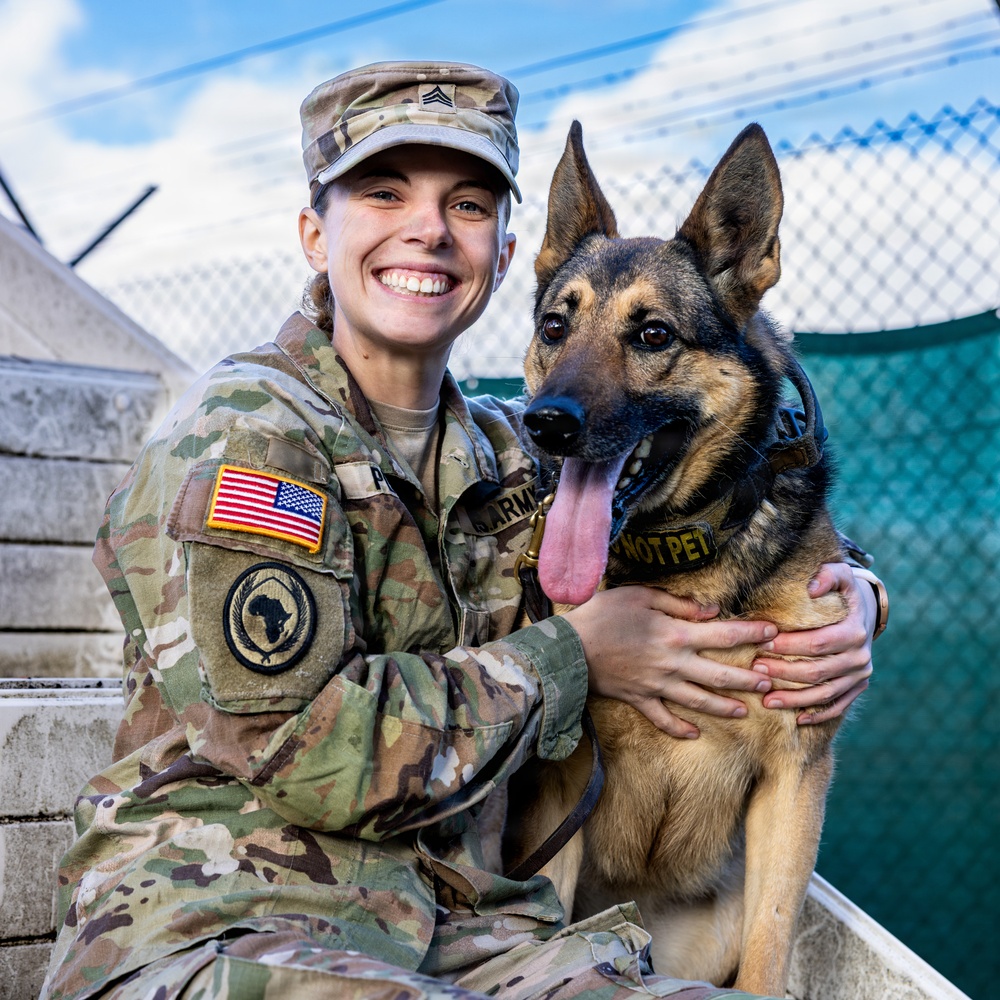 Good Dogs in Bavaria