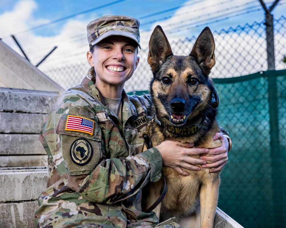Good Dogs in Bavaria