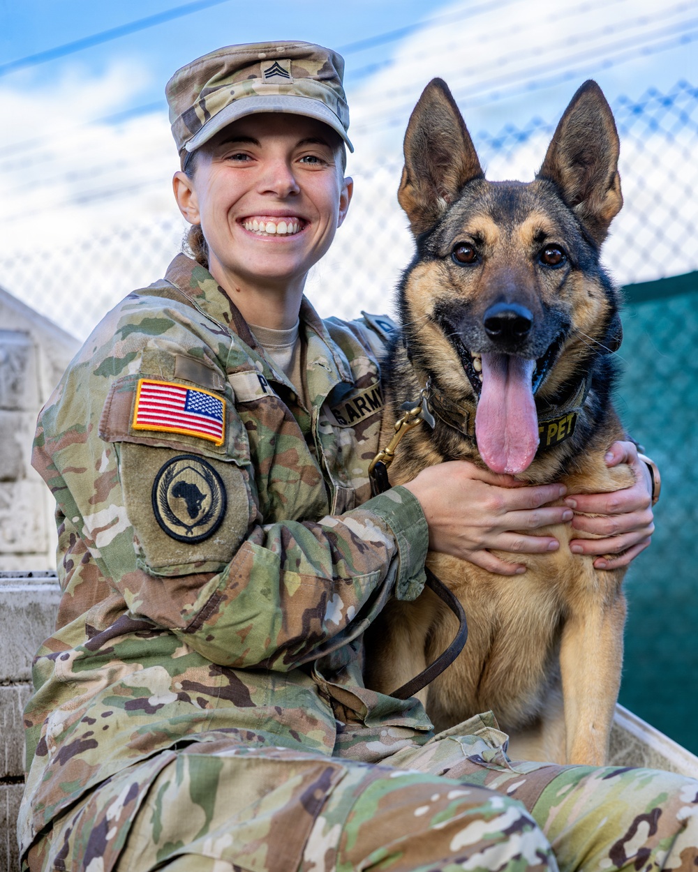 Good Dogs in Bavaria