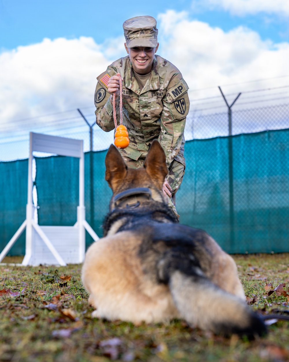 Good Dogs in Bavaria