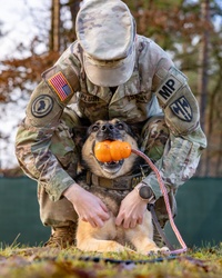 AFN Naples Radio News - Military Working Dogs Training and USAG Stuggart Sensory Santa