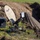 CLB-5 Marines establish combat operations center in newly completed bunker