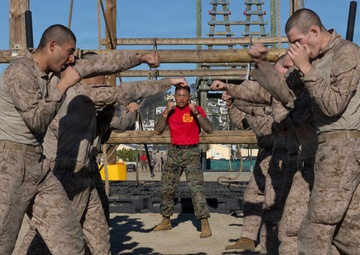 Bravo Company Confidence Course