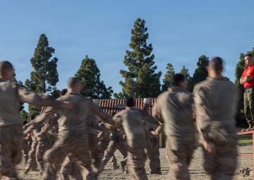 Bravo Company Confidence Course