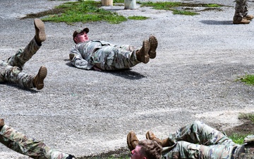 Training Hand-in-Hand