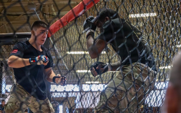 25th CAB Participates in Tropic Lightning Week