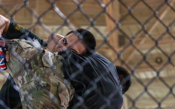 25th CAB Participates in Tropic Lightning Week