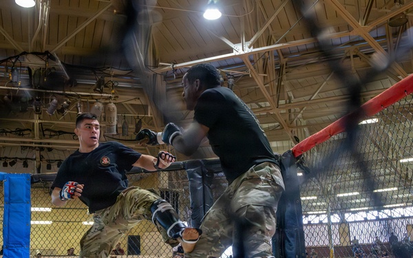 25th CAB Participates in Tropic Lightning Week