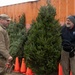Operation Service donates Christmas trees to veterans on Joint Base Cape Cod