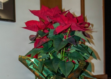 SETAF-AF honors surviving families through holiday greeting program