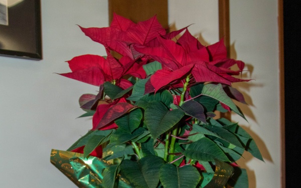 SETAF-AF honors surviving families through holiday greeting program