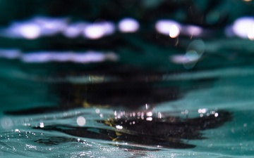 U.S. Coast Guard divers conduct aids to navigation operations