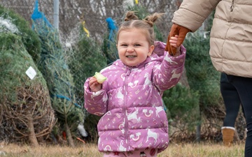 Fort Leonard Wood service members pick out free, live trees thanks to Trees for Troops