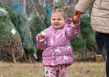 Fort Leonard Wood service members pick out free, live trees thanks to Trees for Troops