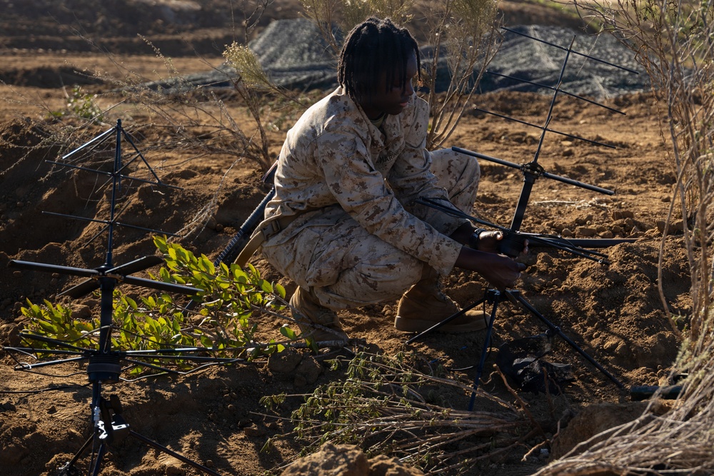 1st MLG Marines Built Trench-Based Logistics Site to Sustain Dispersed Forces