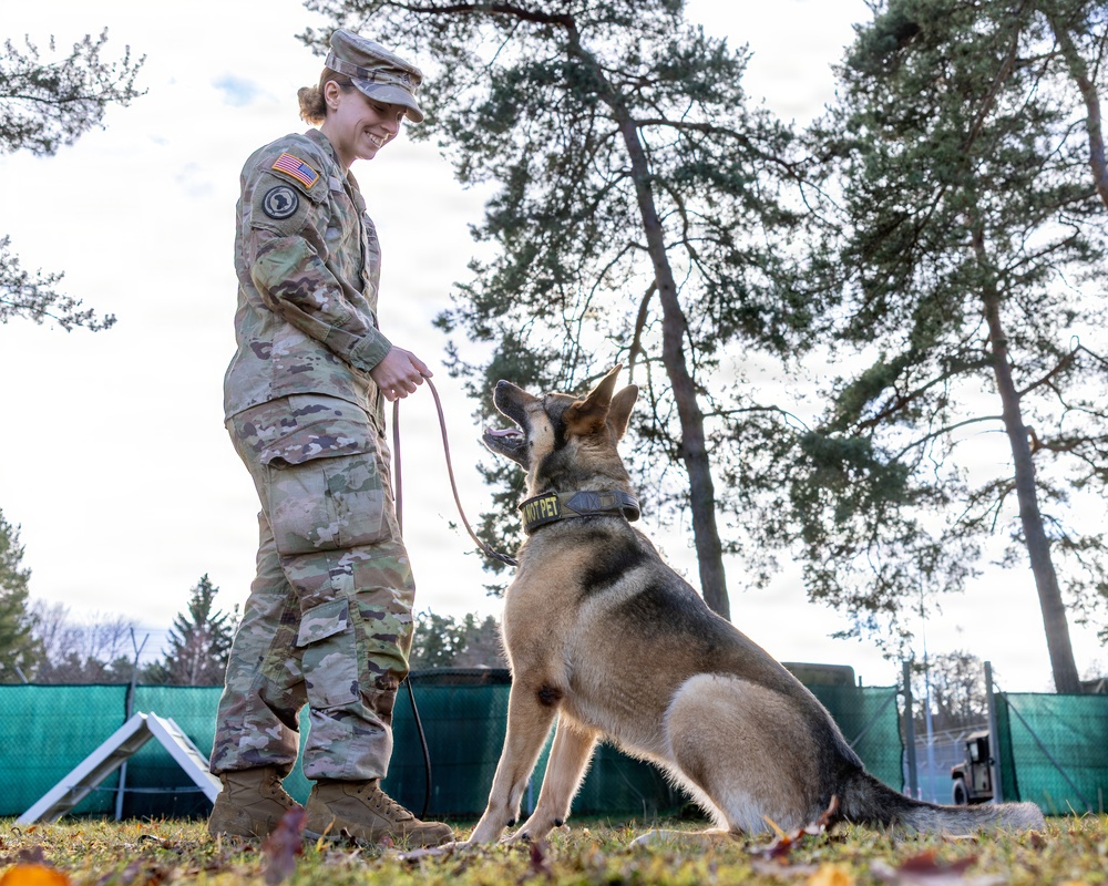 Good Dogs in Bavaria