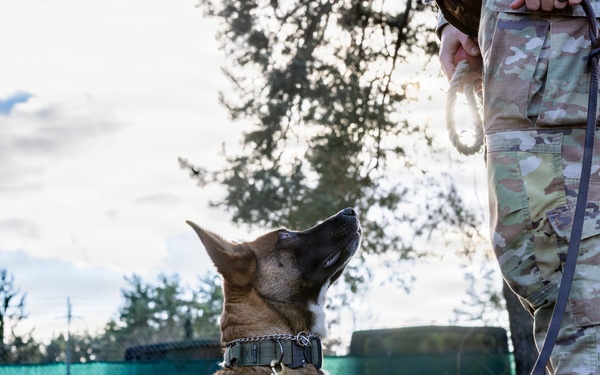 A Soldier's Best Friend