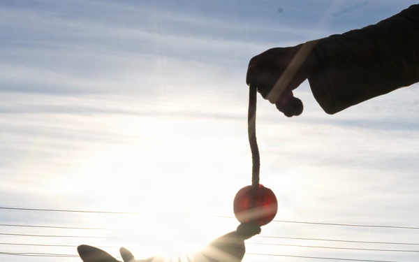 A Soldier's Best Friend