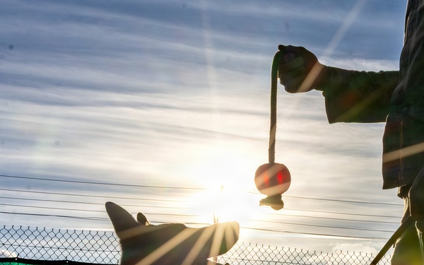 A Soldier's Best Friend