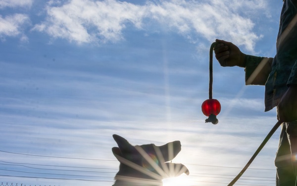 A Soldier's Best Friend