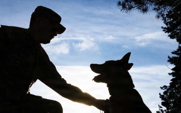 A Soldier's Best Friend
