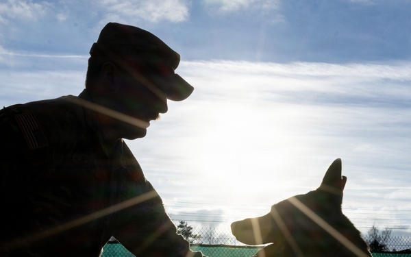 A Soldier's Best Friend