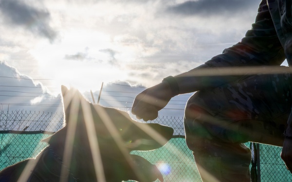 A Soldier's Best Friend