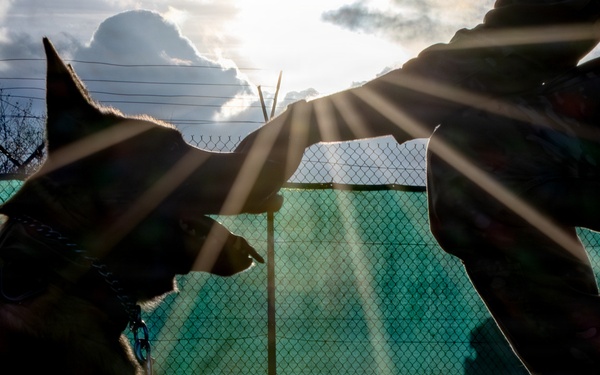 A Soldier's Best Friend