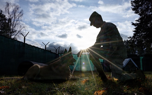 A Soldier's Best Friend