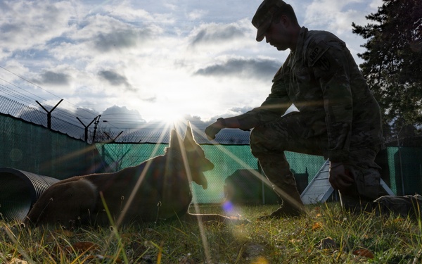 A Soldier's Best Friend