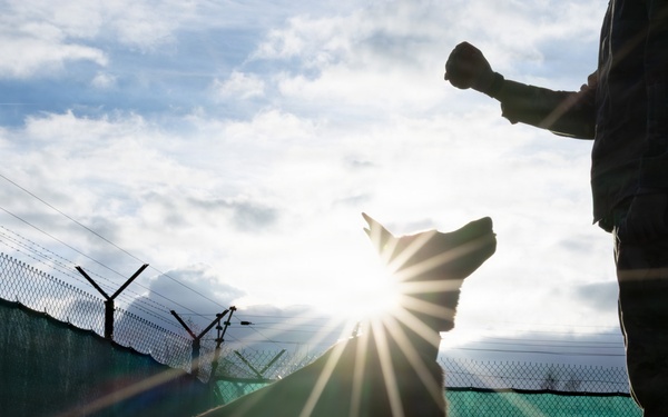 A Soldier's Best Friend