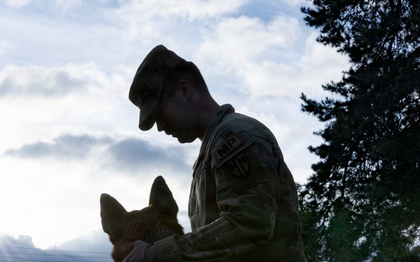 A Soldier's Best Friend
