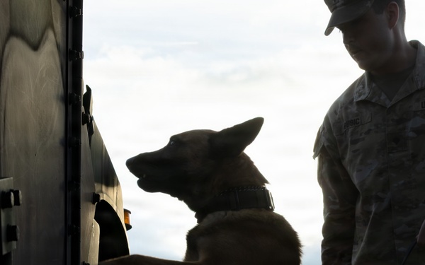 A Soldier's Best Friend