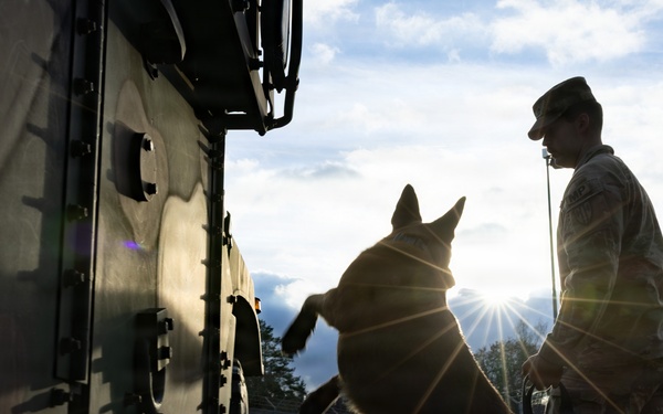 A Soldier's Best Friend