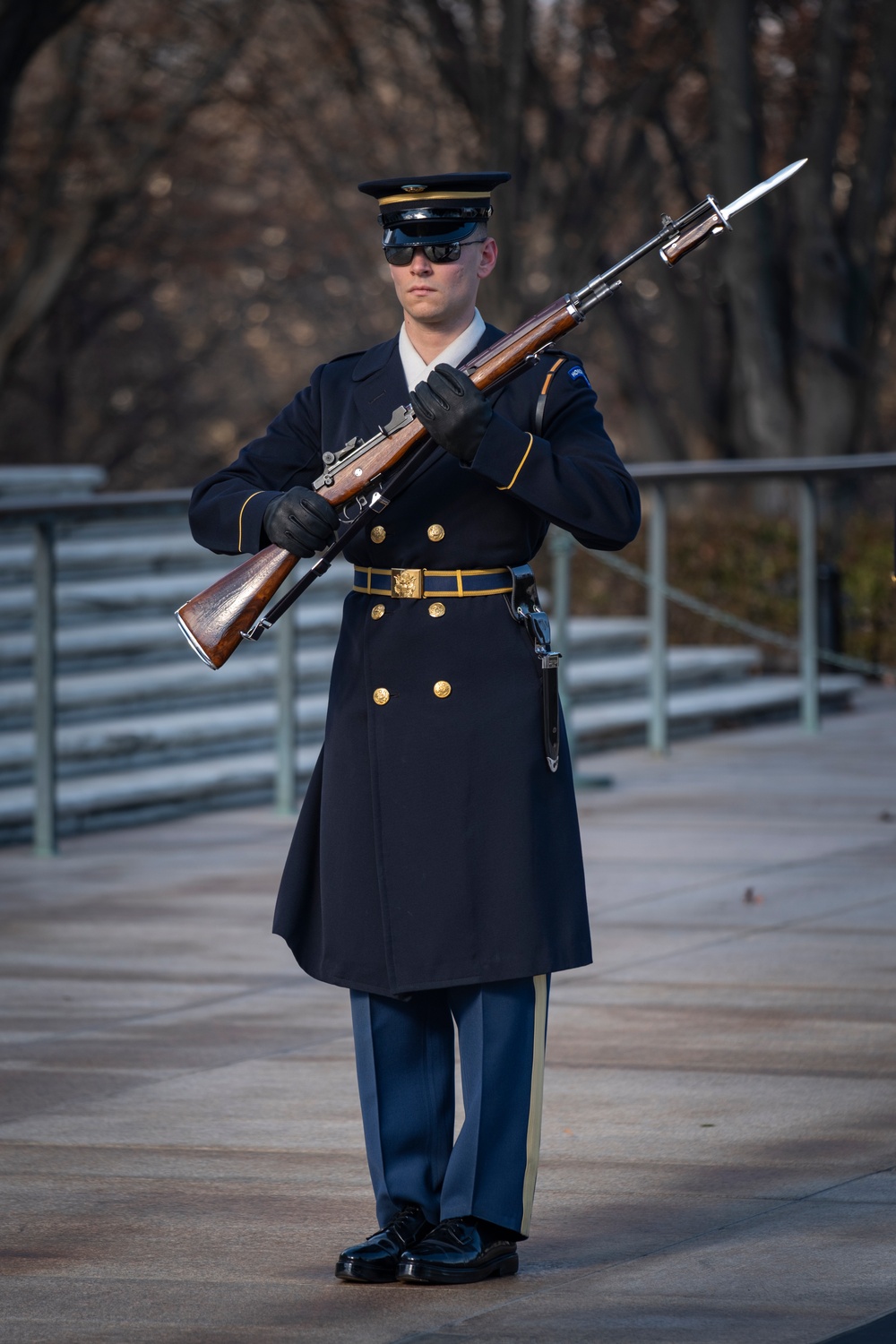 Standing Watch at the Tomb of the Unknown Soldier
