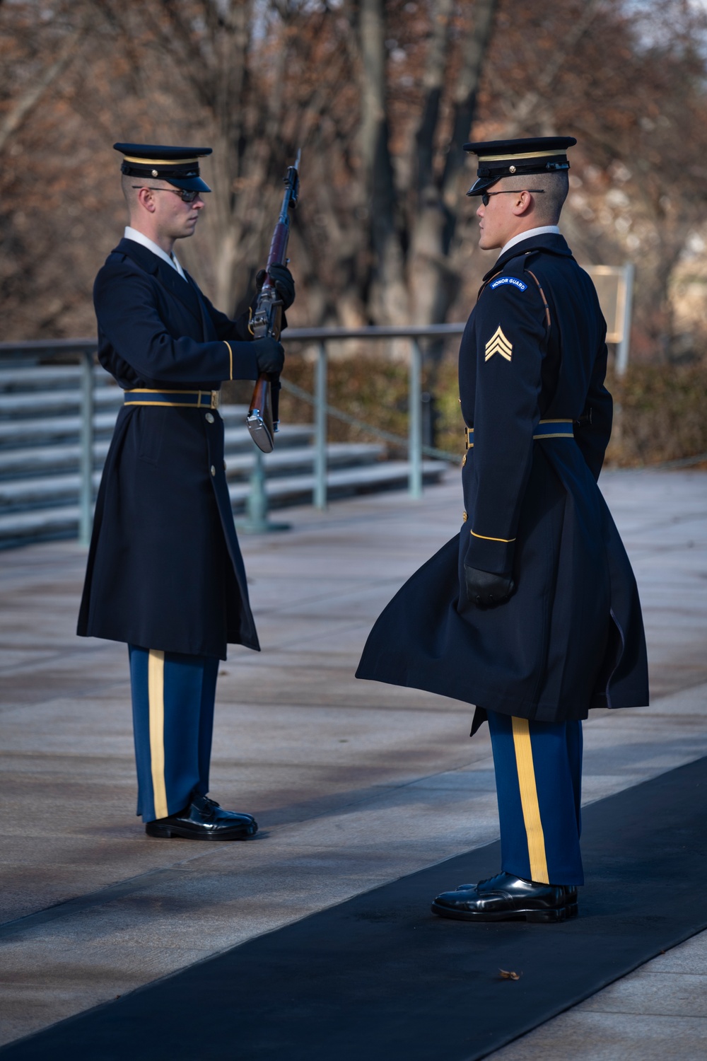 Standing Watch at the Tomb of the Unknown Soldier