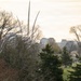 2025 Wreaths Across America Day at ANC