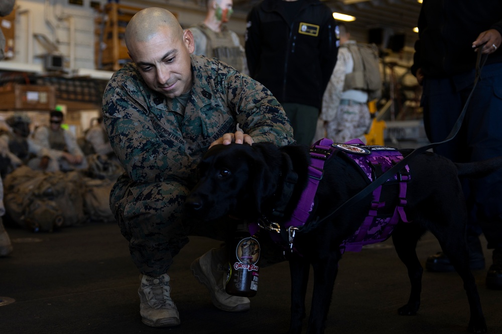 11th MEU Marines, Sailors Conduct Patrol Base Operations