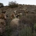11th MEU Marines, Sailors Conduct Patrol Base Operations