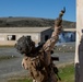11th MEU Marines, Sailors Execute A Simulated Assault During Patrol Base Operations