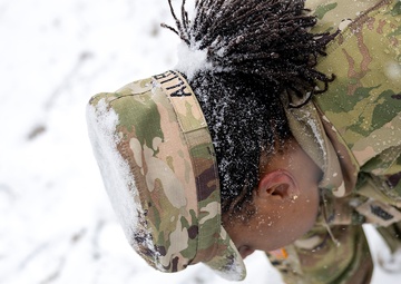 Army, Indy community honor veterans with wreath laying tradition