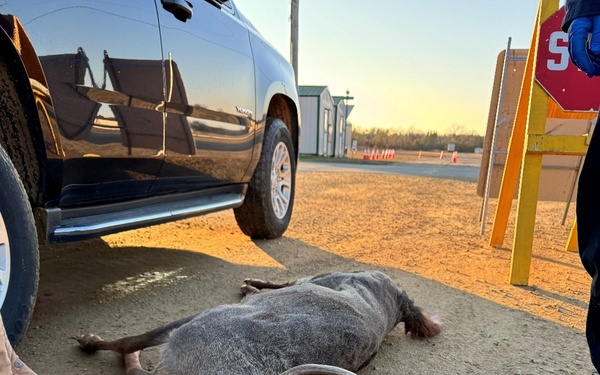 313 deer taken during Fort McCoy’s 2025 gun-deer season