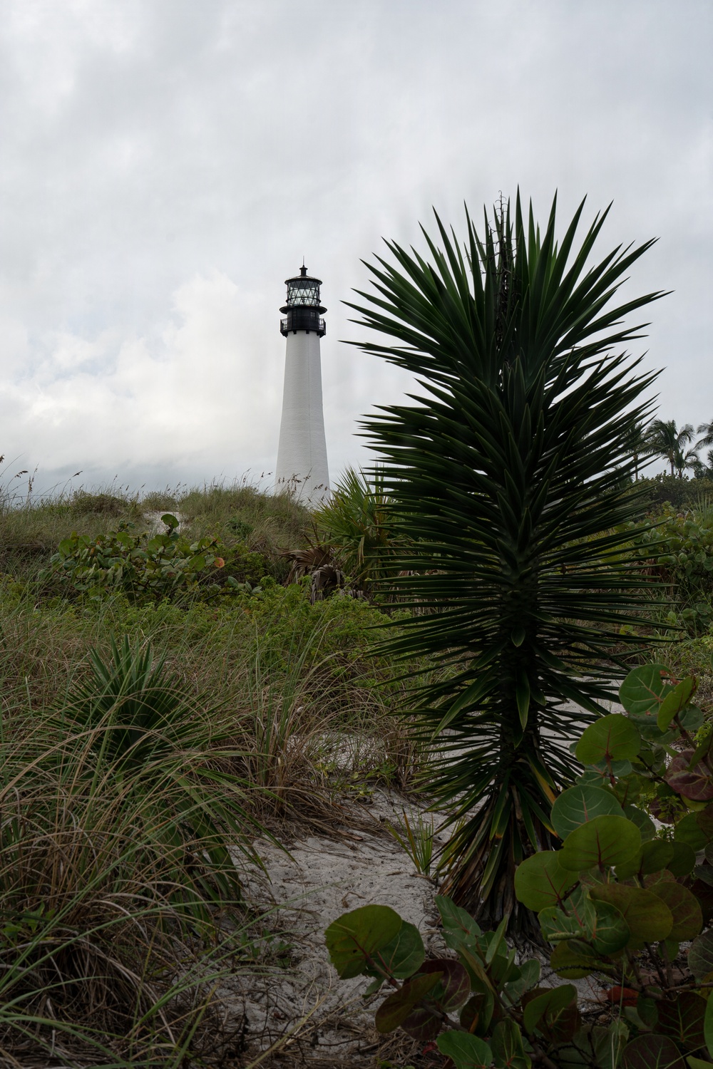 Biscayne Bay Coastal Wetlands Project