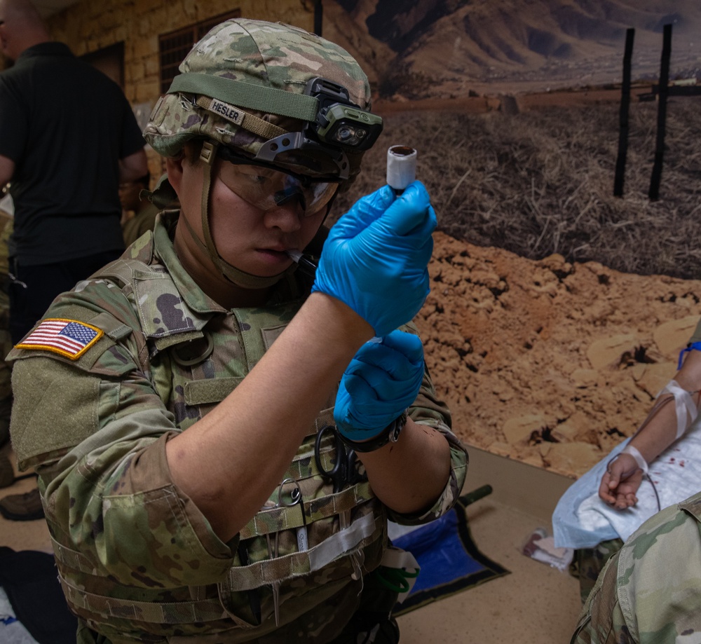 10th Mountain Division (LI) Blood Transfusion Training 2025