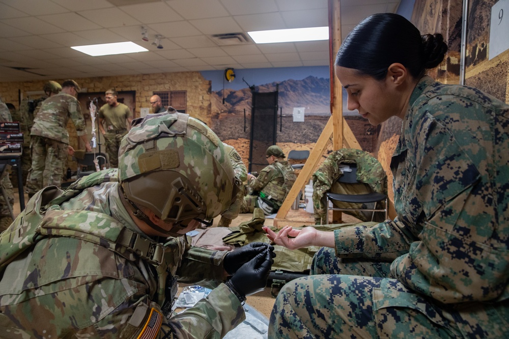 10th Mountain Division (LI) Blood Transfusion Training 2025
