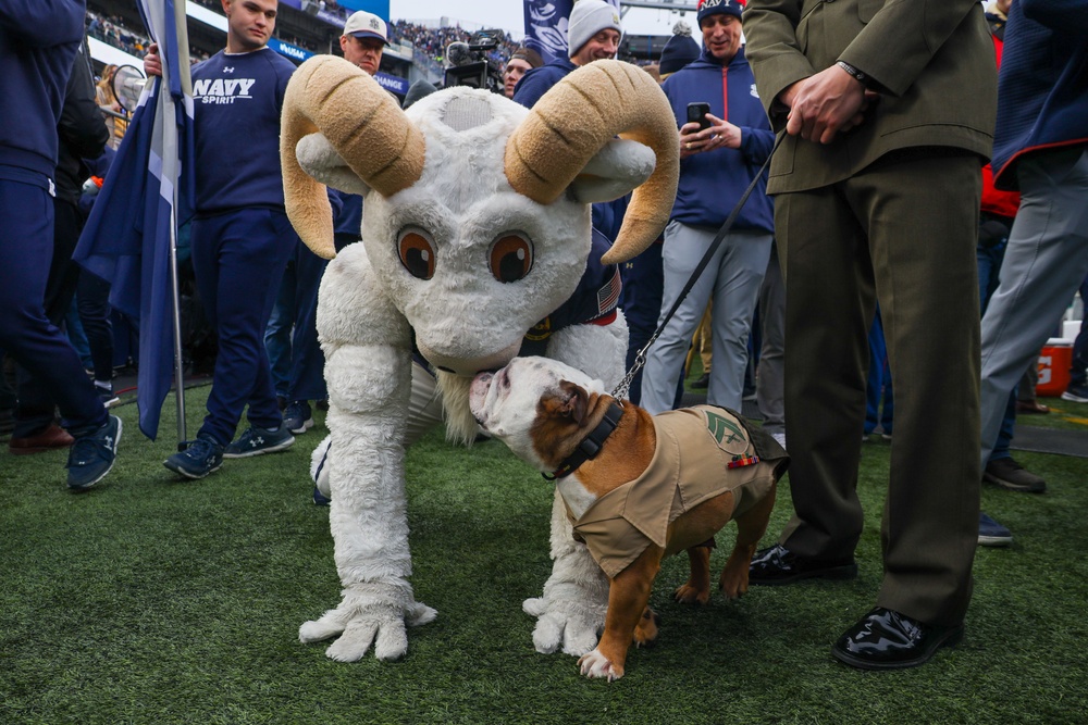 Cpl. Chesty XVI takes on "America's Game"