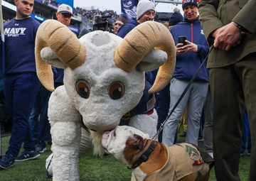 Cpl. Chesty XVI takes on "America's Game"